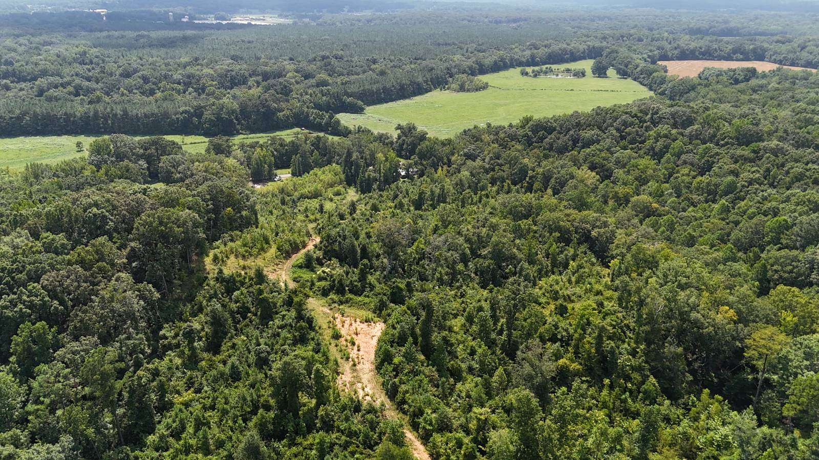 28 Acres of Recreational & Residential Land for Sale in Grenada, Mississippi