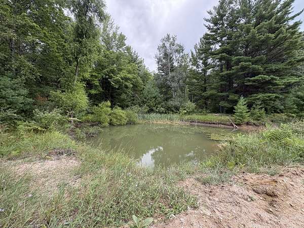 108 Acres of Recreational & Residential Land for Sale in Morley, Michigan