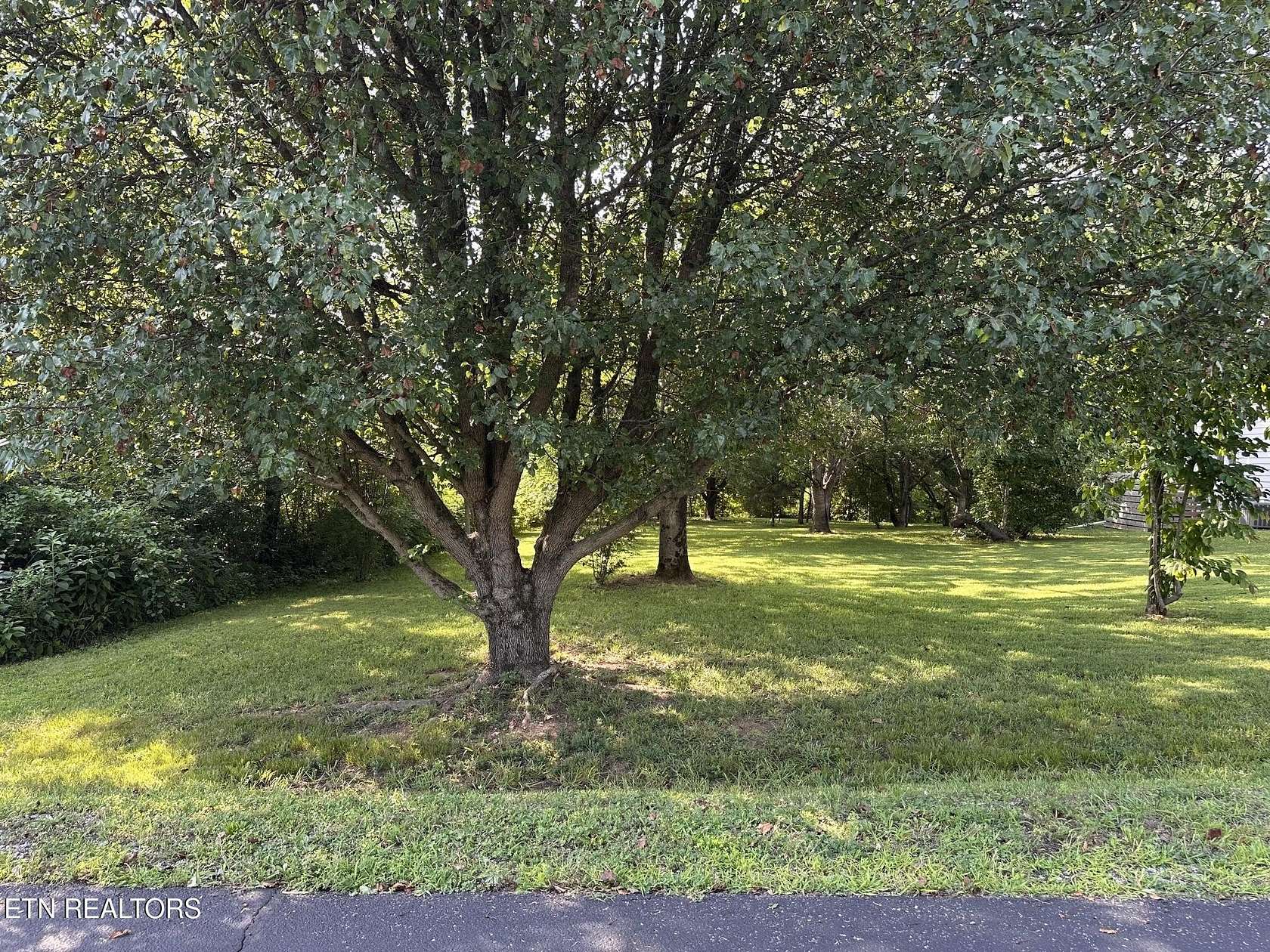 0.19 Acres of Residential Land for Sale in Loudon, Tennessee