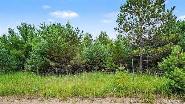 68.5 Acres of Recreational & Residential Land for Sale in Beaver Creek Township, Michigan