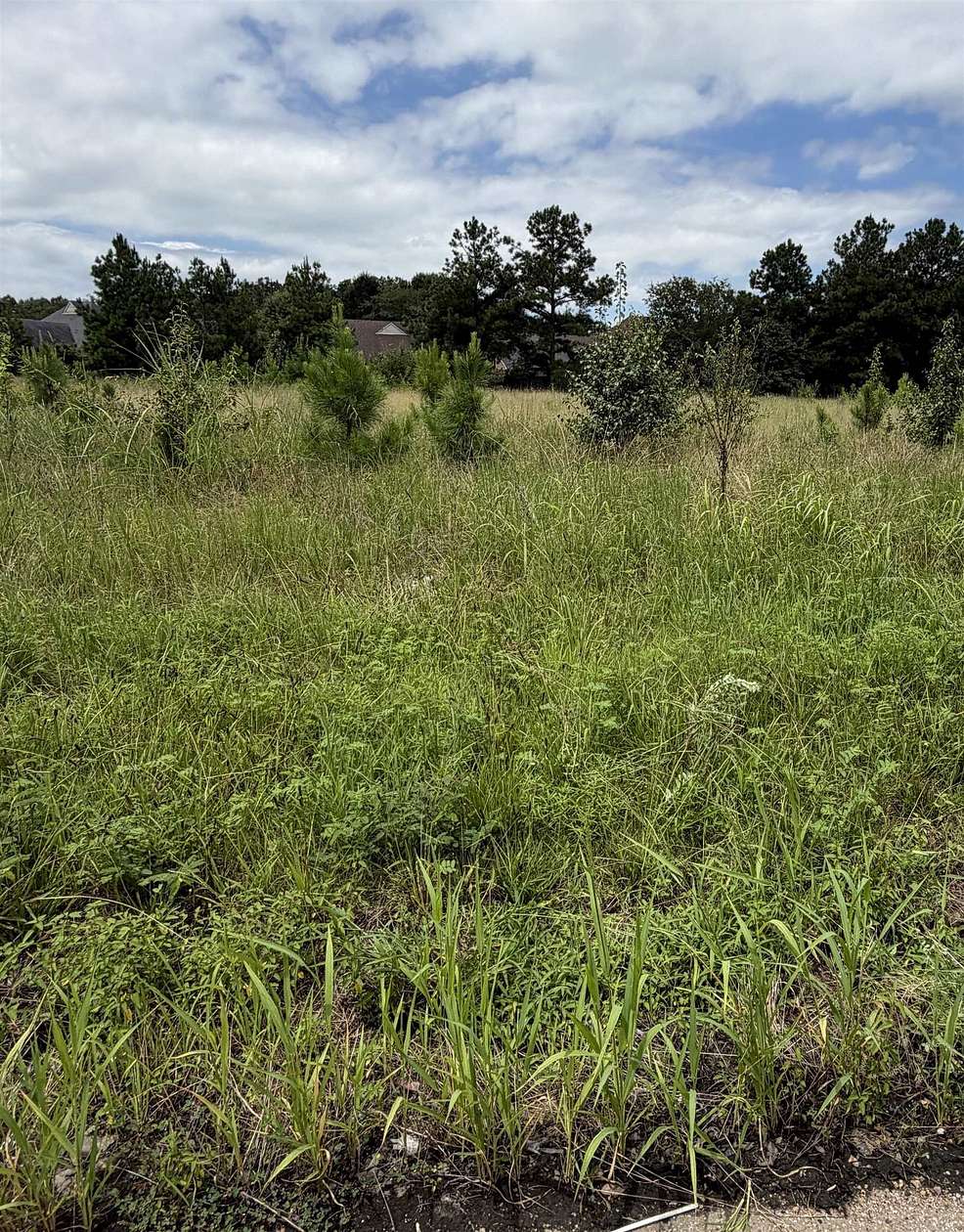 6.78 Acres of Commercial Land for Sale in Memphis, Tennessee