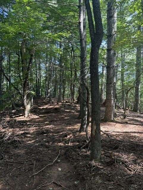 13.9 Acres of Land for Sale in Franklin, North Carolina