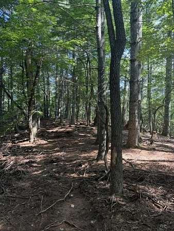 13.9 Acres of Land for Sale in Franklin, North Carolina