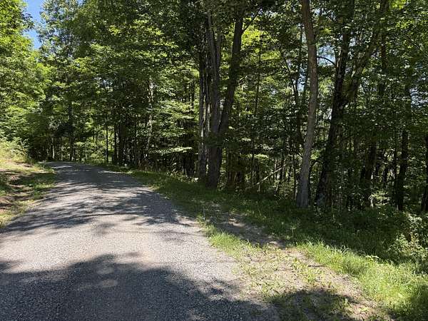 2 Acres of Residential Land for Sale in Slaty Fork, West Virginia