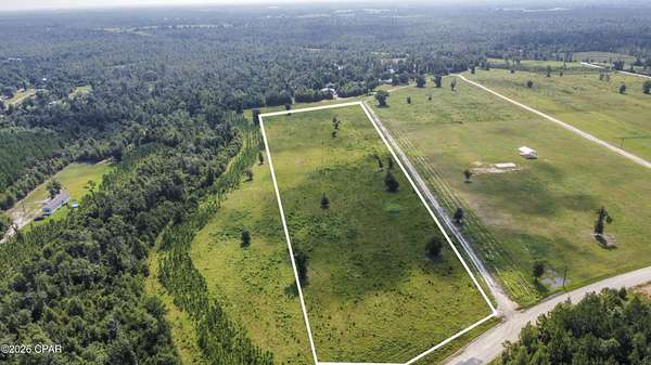 8.8 Acres of Residential Land for Sale in Altha, Florida
