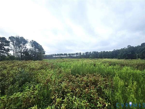 55 Acres of Land for Sale in Mineral, Virginia