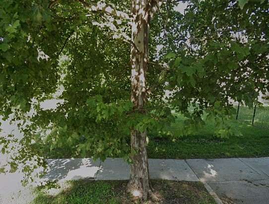 0.07 Acres of Land for Sale in Chicago, Illinois