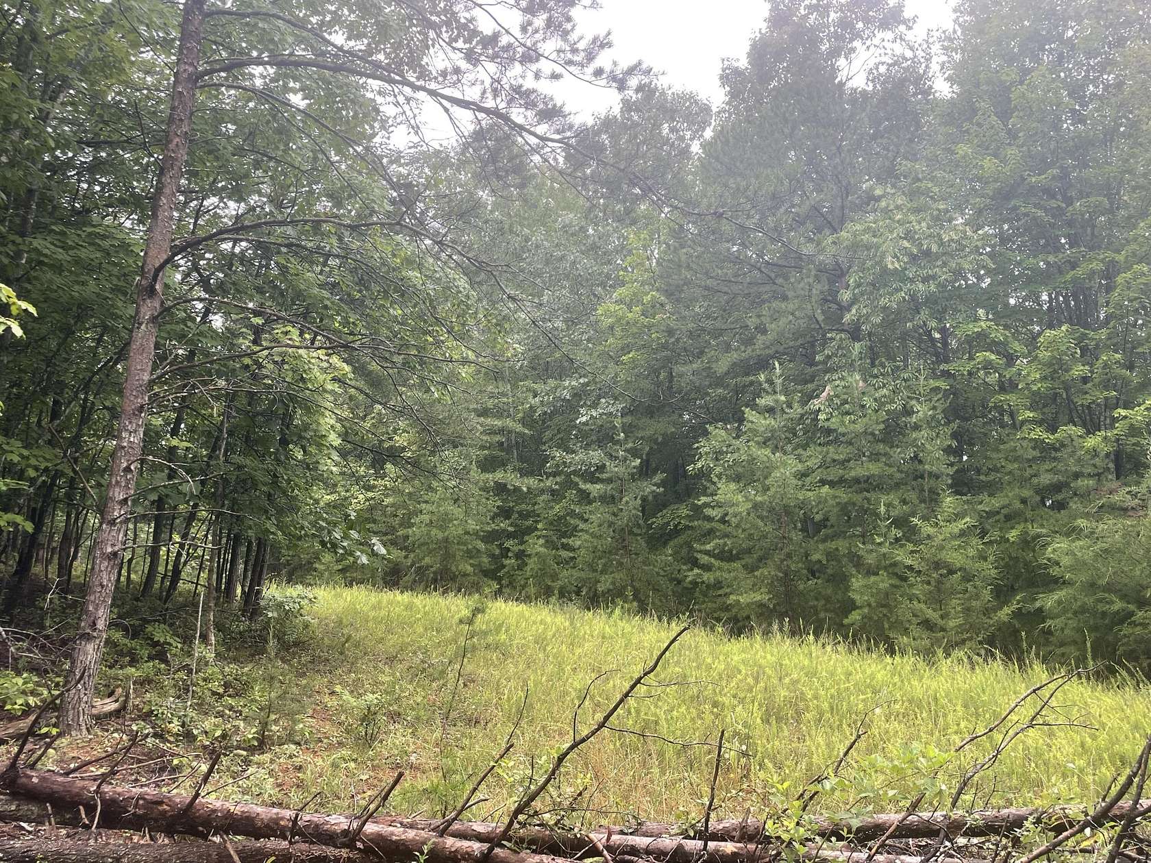 100 Acres of Recreational & Residential Land for Sale in Huddleston, Virginia