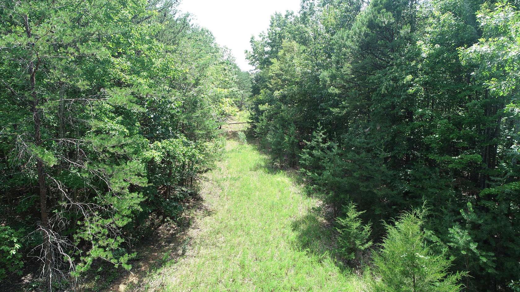 100 Acres of Recreational & Residential Land for Sale in Huddleston, Virginia