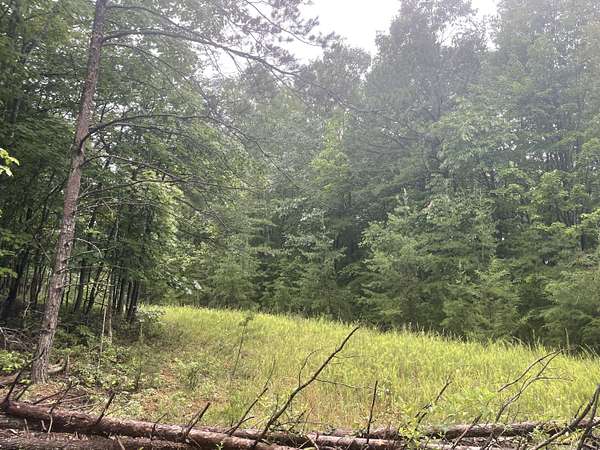 100 Acres of Recreational & Residential Land for Sale in Huddleston, Virginia