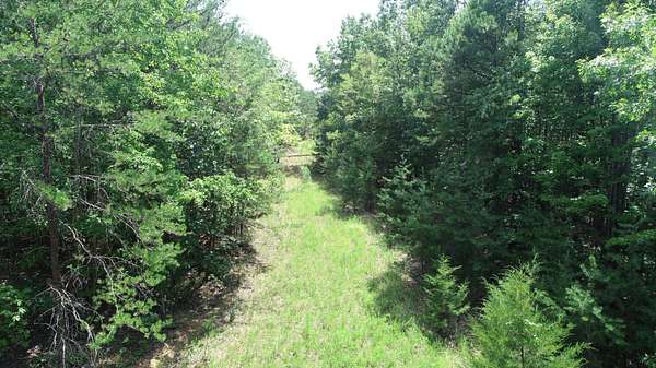 100 Acres of Recreational & Residential Land for Sale in Huddleston, Virginia