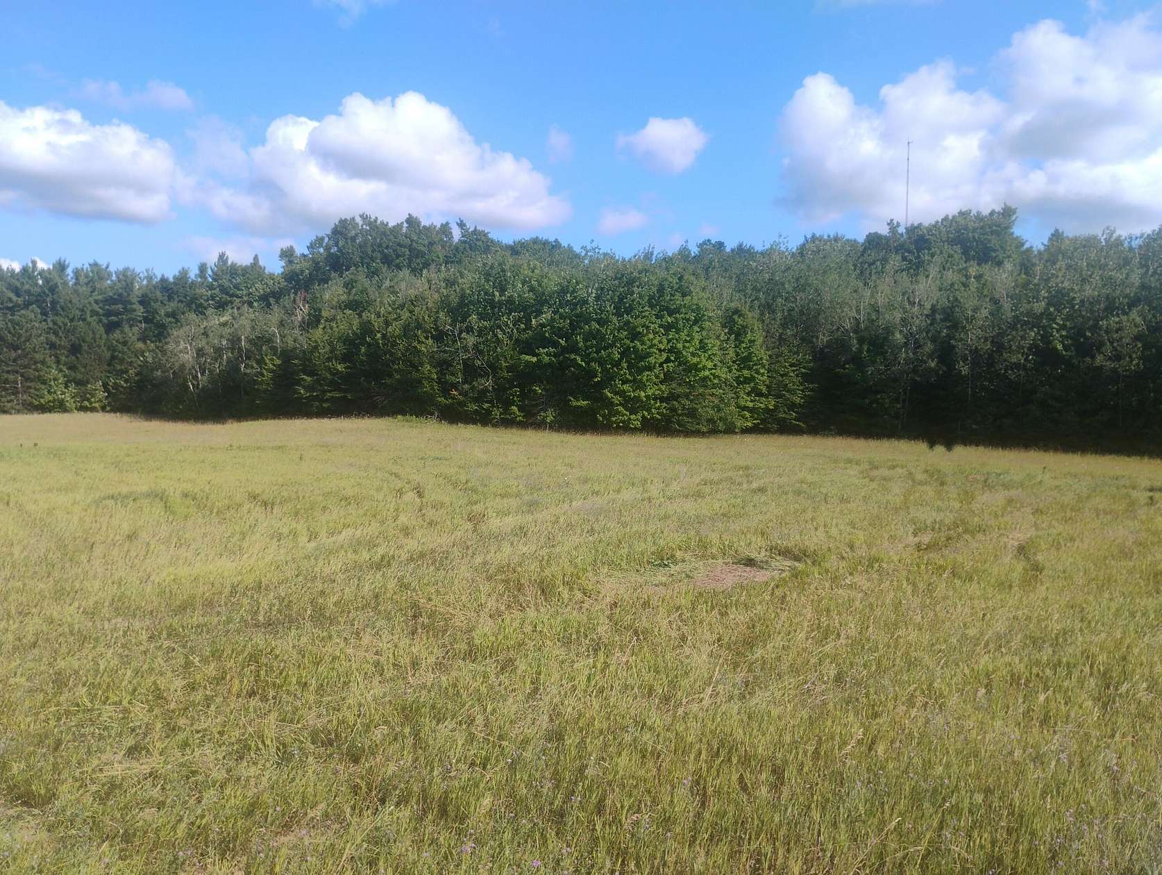 40 Acres of Land for Sale in East Jordan, Michigan