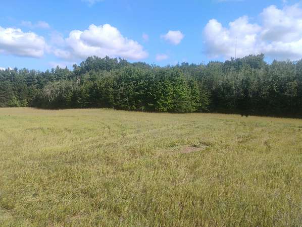 40 Acres of Land for Sale in East Jordan, Michigan