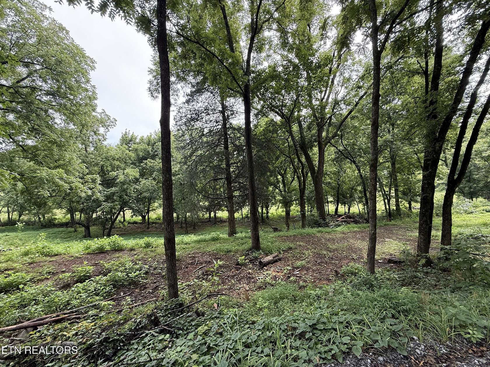 0.93 Acres of Residential Land for Sale in New Market, Tennessee