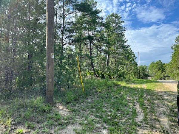 10.5 Acres of Land for Sale in Dunnellon, Florida