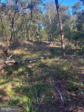 1 Acre of Residential Land for Sale in Federalsburg, Maryland