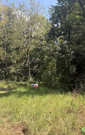 9 Acres of Land for Sale in Noel, Missouri
