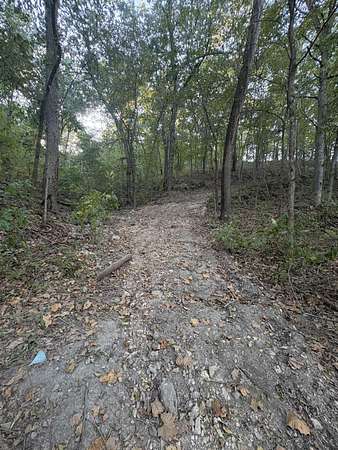 9 Acres of Land for Sale in Noel, Missouri
