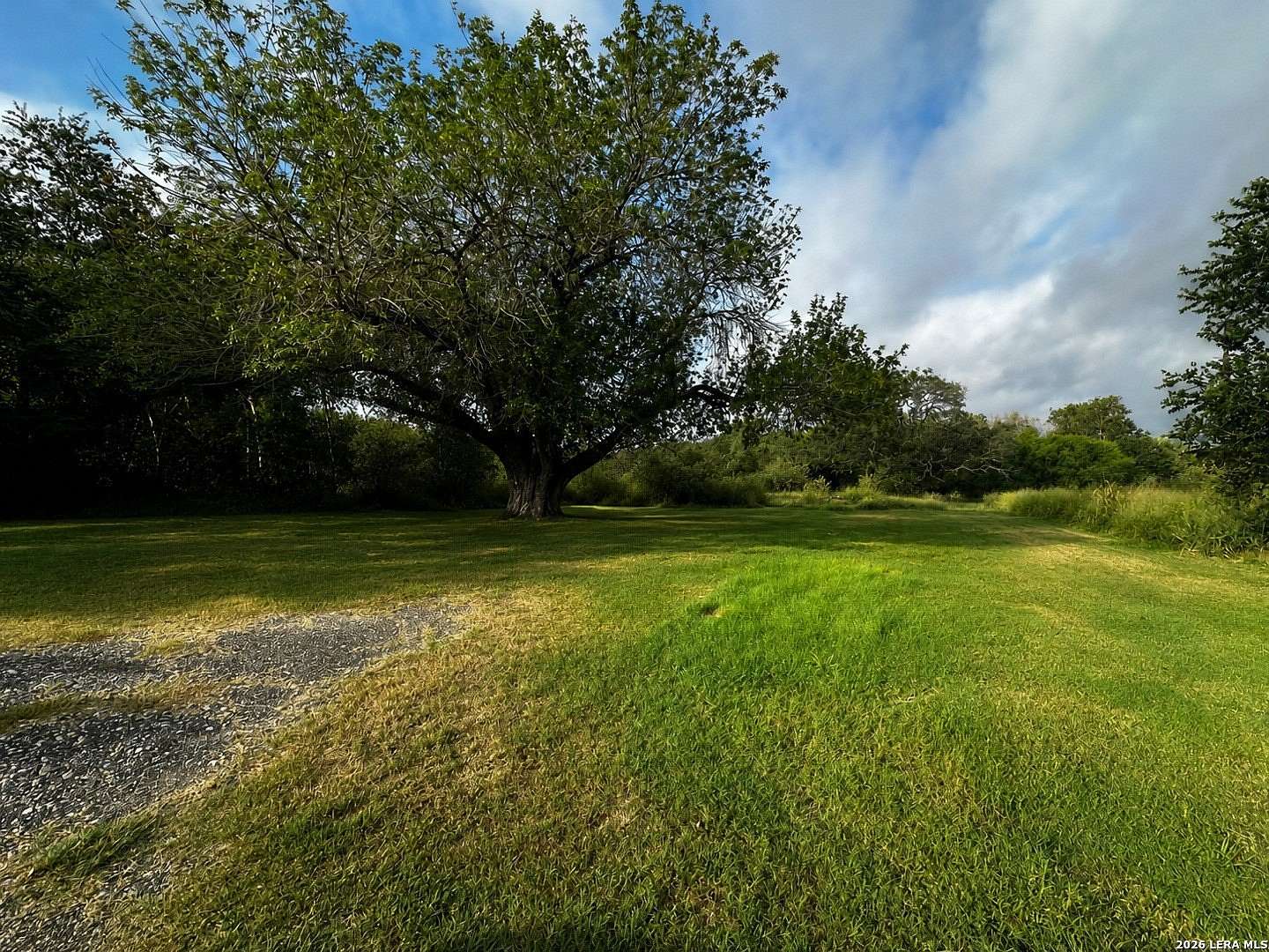 0.25 Acres of Residential Land for Sale in Poth, Texas
