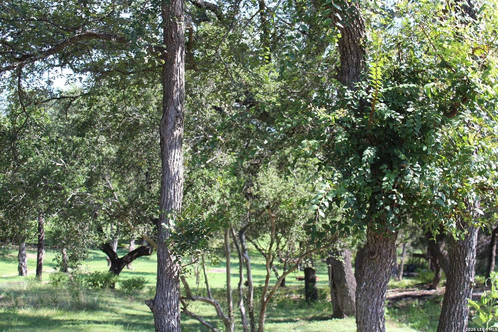 0.24 Acres of Residential Land for Sale in Canyon Lake, Texas
