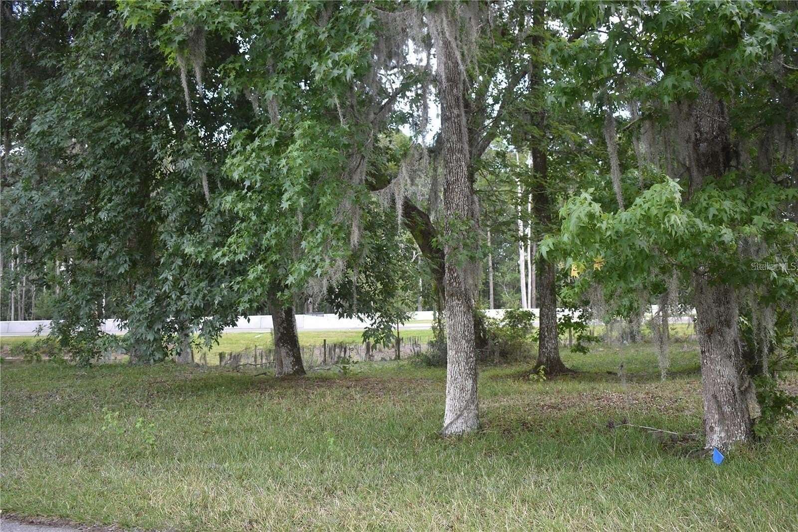 0.12 Acres of Residential Land for Sale in Wildwood, Florida