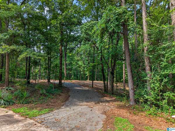 5.6 Acres of Residential Land for Sale in Pell City, Alabama