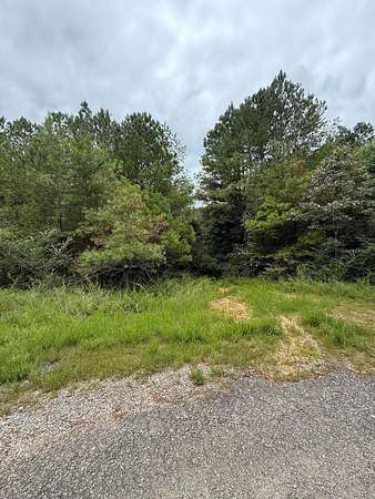 6 Acres of Residential Land for Sale in Double Springs, Alabama
