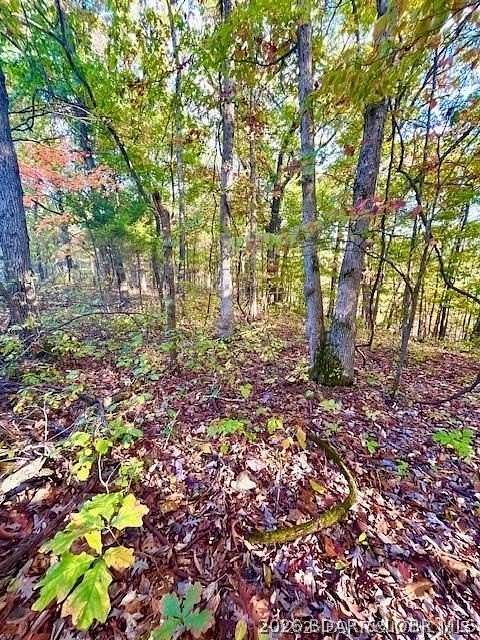 0.35 Acres of Residential Land for Sale in Barnett, Missouri