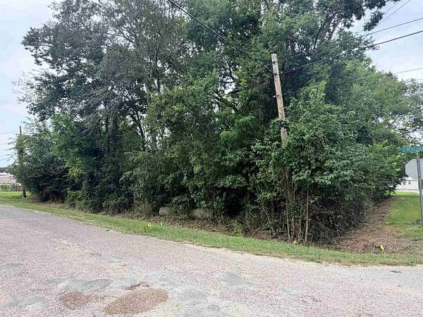 0.22 Acres of Residential Land for Sale in Sour Lake, Texas