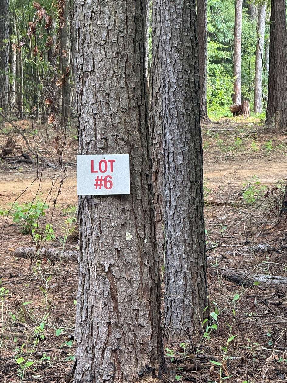3.67 Acres of Residential Land for Sale in Haughton, Louisiana