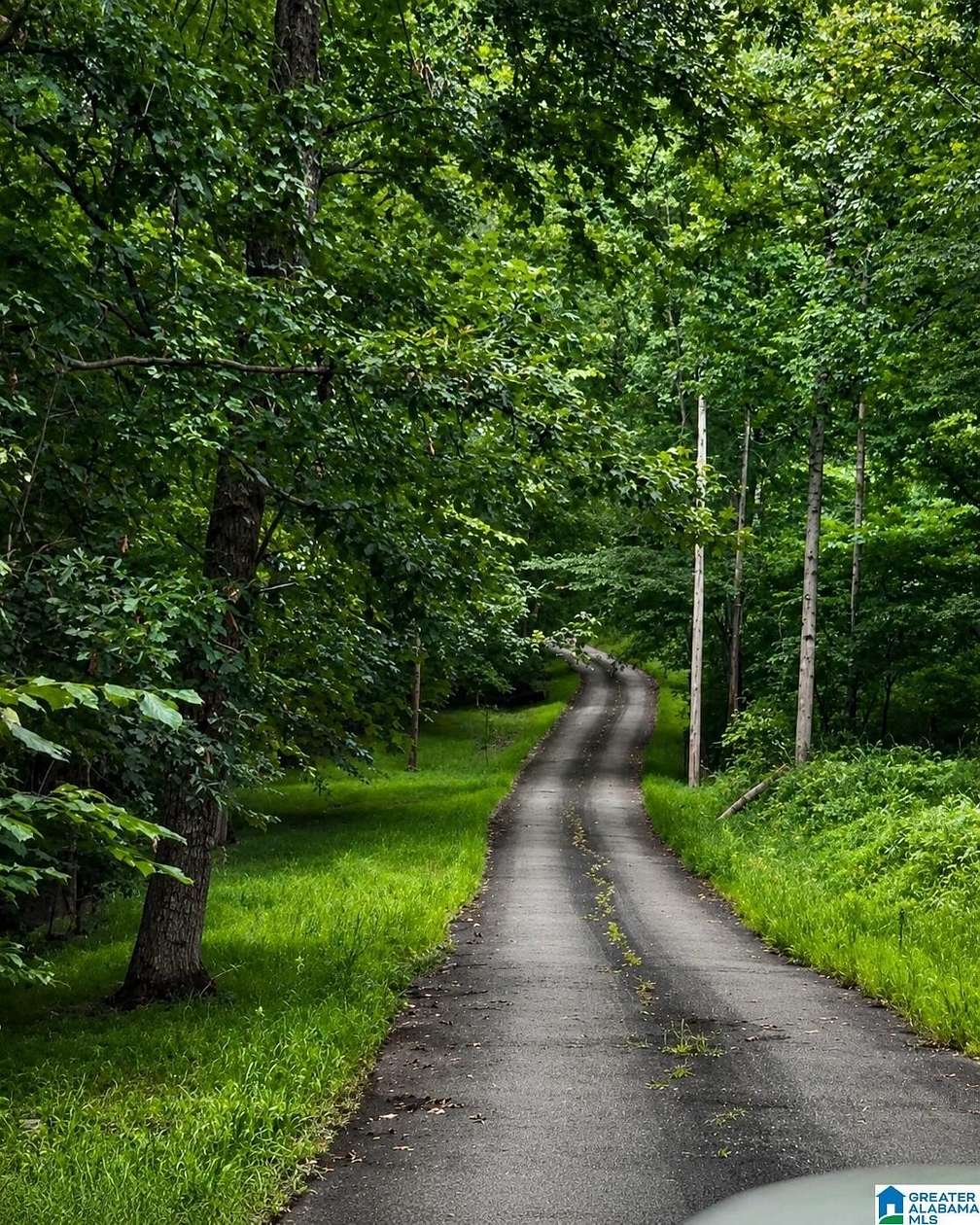 10 Acres of Residential Land for Sale in Springville, Alabama