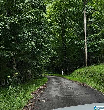 10 Acres of Recreational & Residential Land for Sale in Springville, Alabama