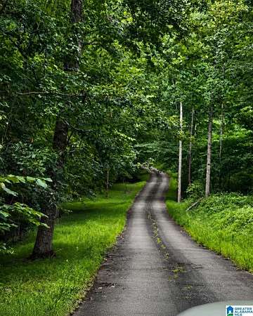 10 Acres of Recreational & Residential Land for Sale in Springville, Alabama