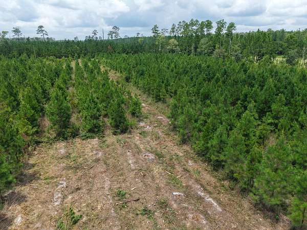 30.7 Acres of Recreational Land for Sale in White Oak, Georgia