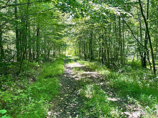 52.6 Acres of Recreational Land for Sale in Westport, Pennsylvania