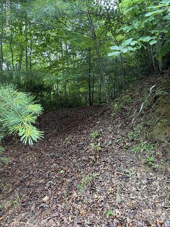 1 Acre of Residential Land for Sale in Topton, North Carolina