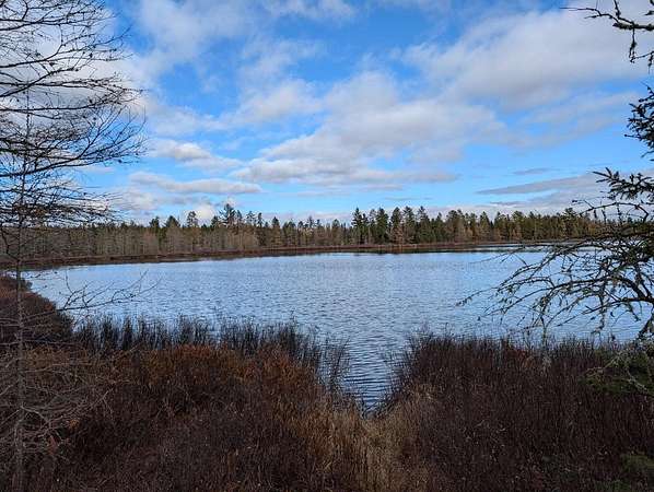 12.4 Acres of Land for Sale in Gwinn, Michigan