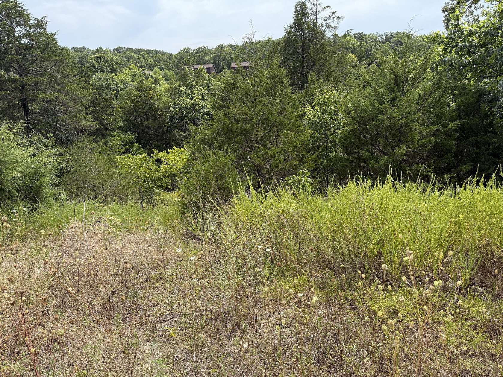 0.57 Acres of Residential Land for Sale in Branson West, Missouri