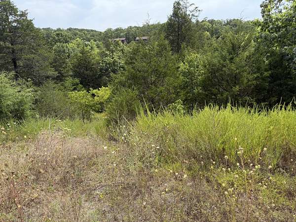0.57 Acres of Residential Land for Sale in Branson West, Missouri