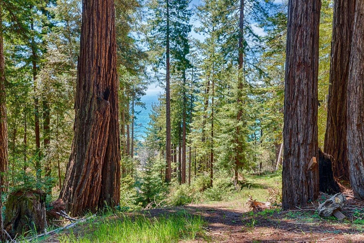 2 Acres of Residential Land for Sale in Jenner, California