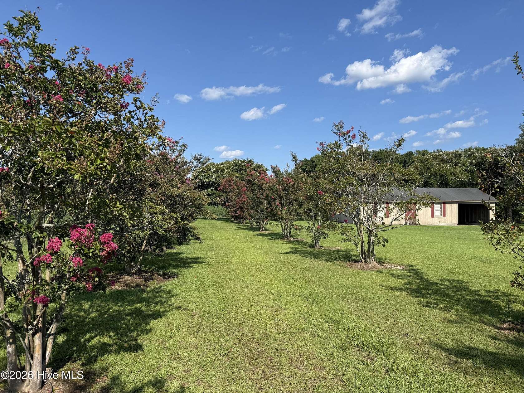 50 Acres of Recreational & Residential Land for Sale in Williamston, North Carolina