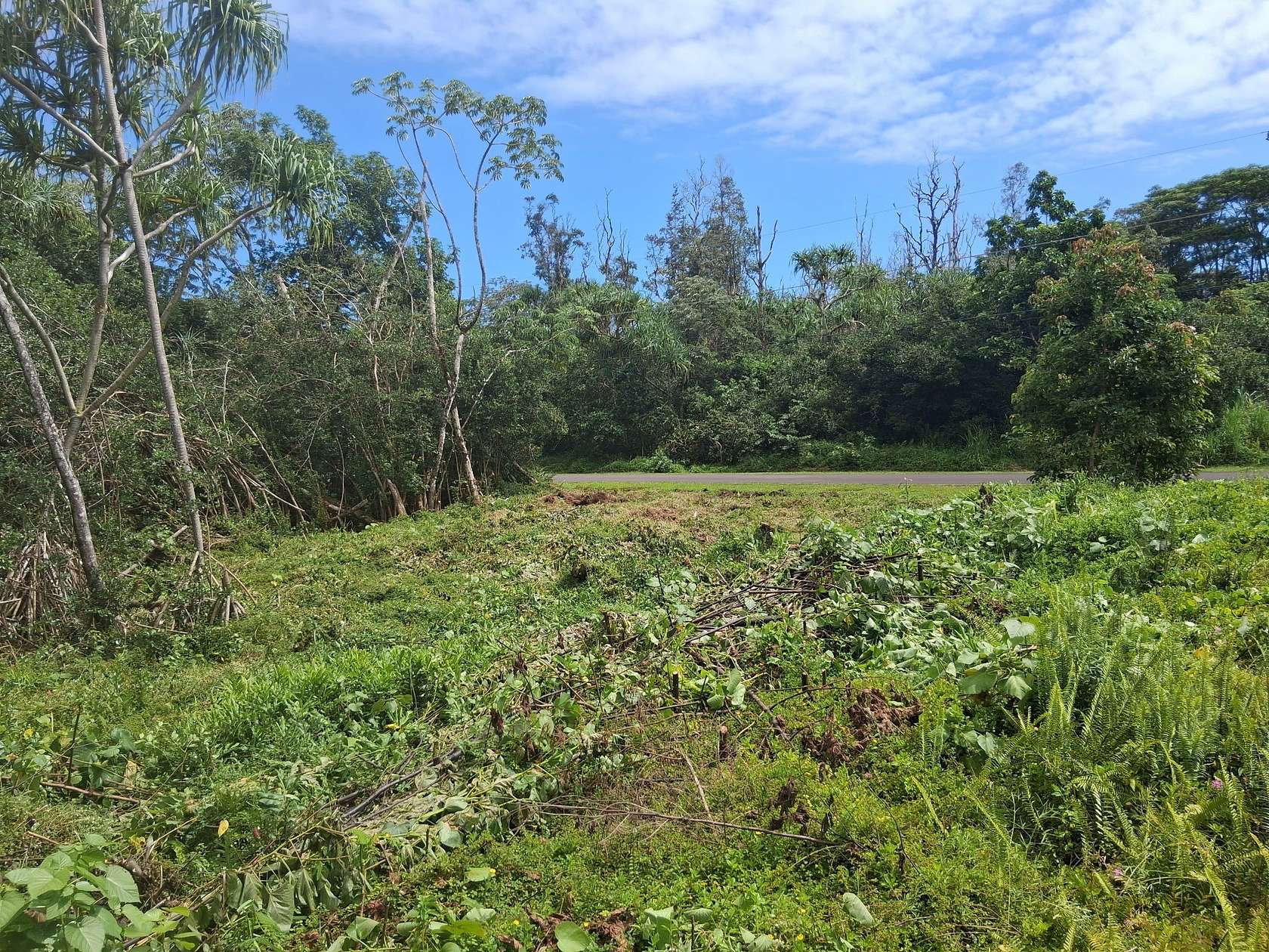 0.28 Acres of Land for Sale in Pahoa, Hawaii