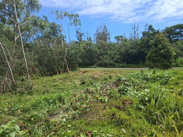 0.28 Acres of Land for Sale in Pahoa, Hawaii