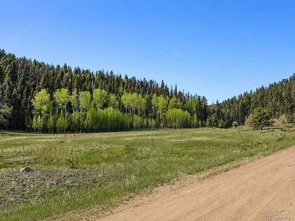 132 Acres of Recreational & Residential Land for Sale in Westcliffe, Colorado