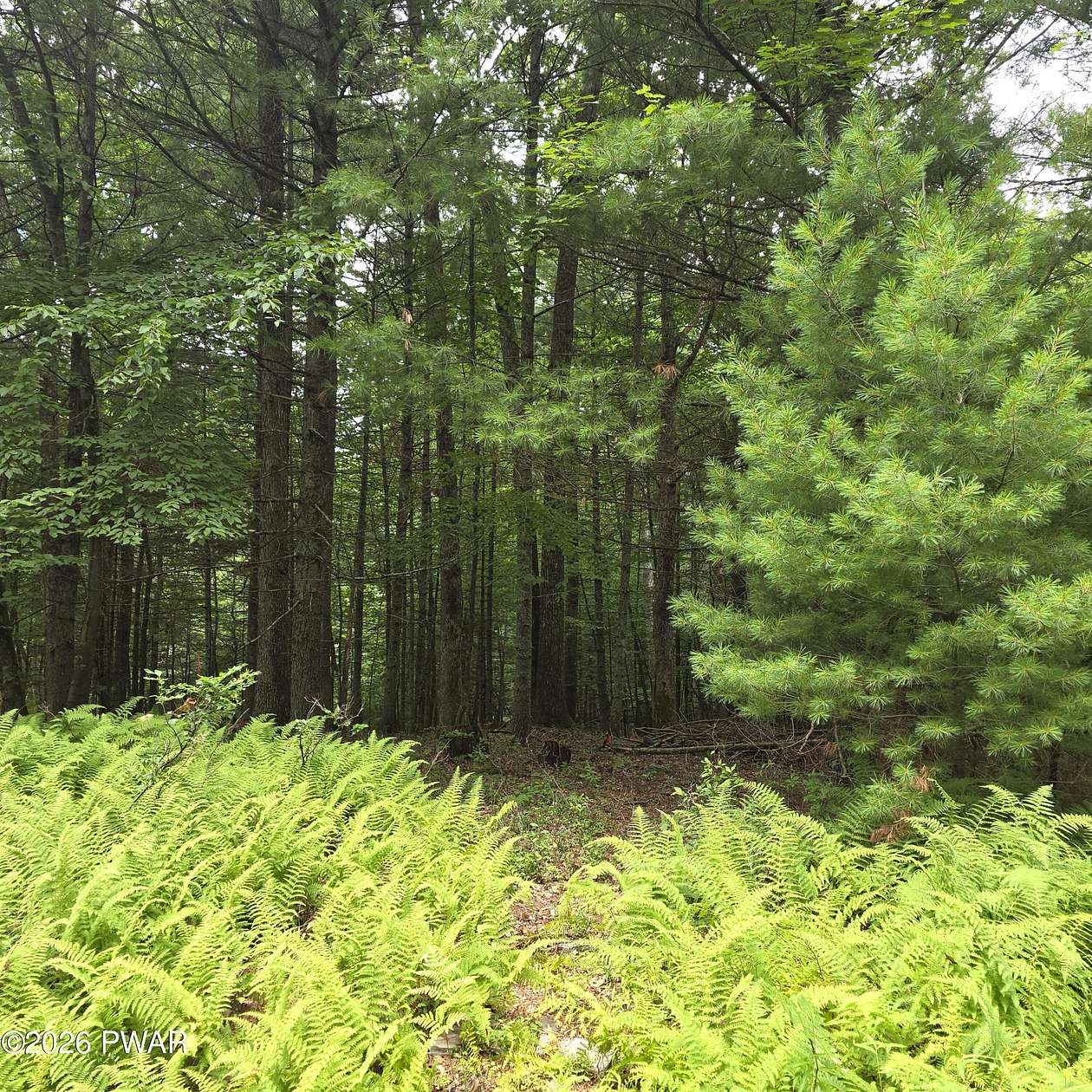 0.82 Acres of Residential Land for Sale in Rowland, Pennsylvania