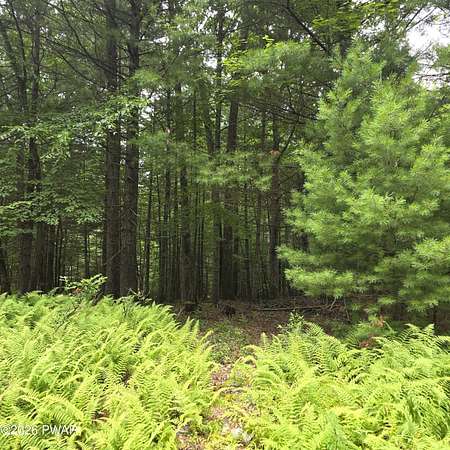 0.82 Acres of Residential Land for Sale in Rowland, Pennsylvania