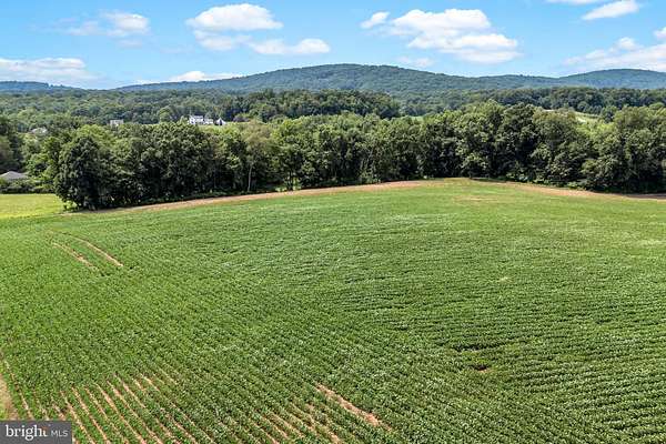 15 Acres of Land for Sale in Dover, Pennsylvania
