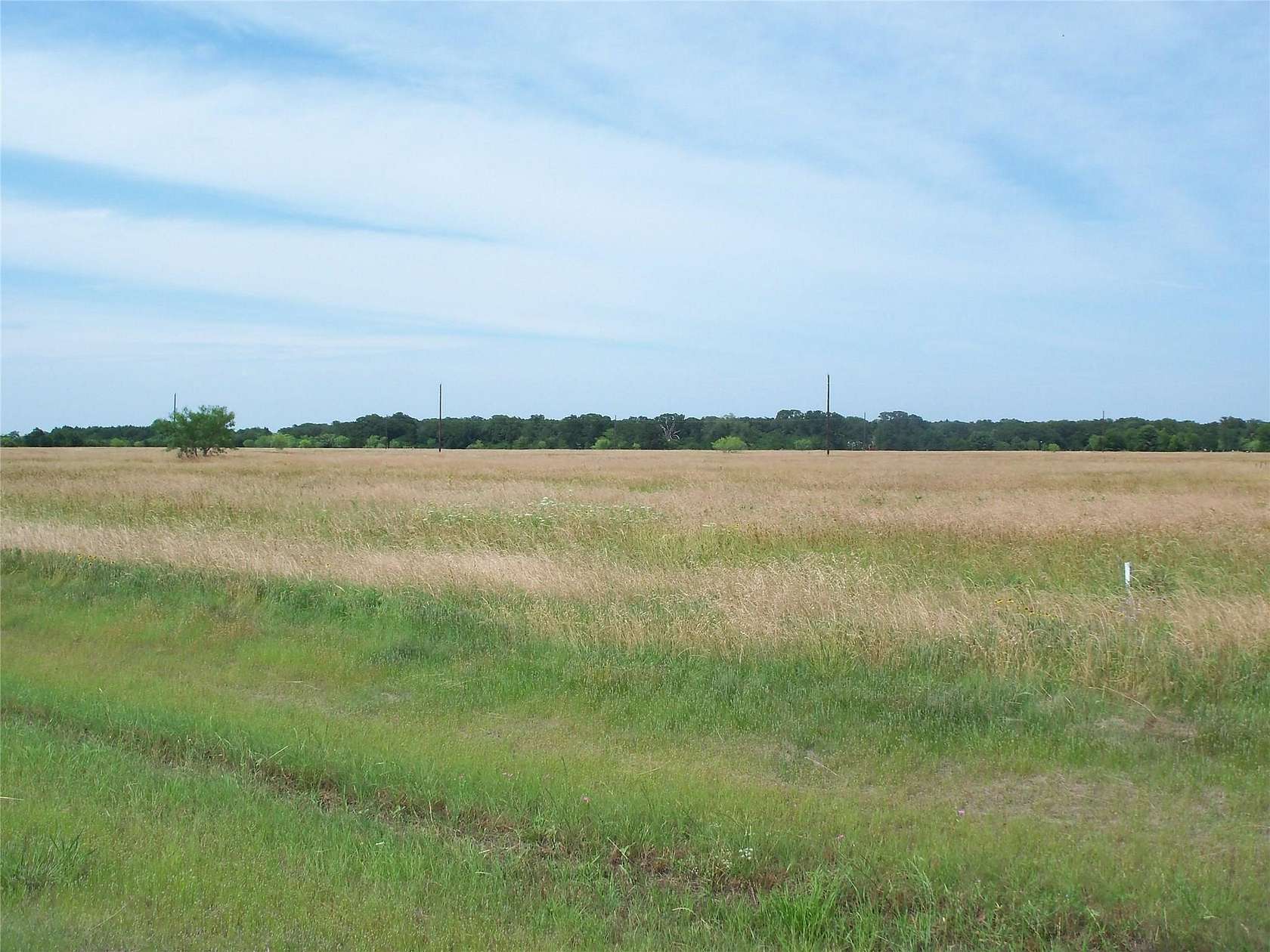 2 Acres of Residential Land for Sale in Mildred, Texas
