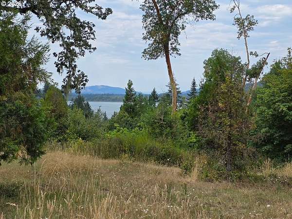 27.8 Acres of Land for Sale in Lowell, Oregon
