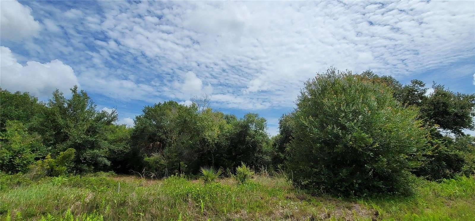 1.25 Acres of Residential Land for Sale in Okeechobee, Florida